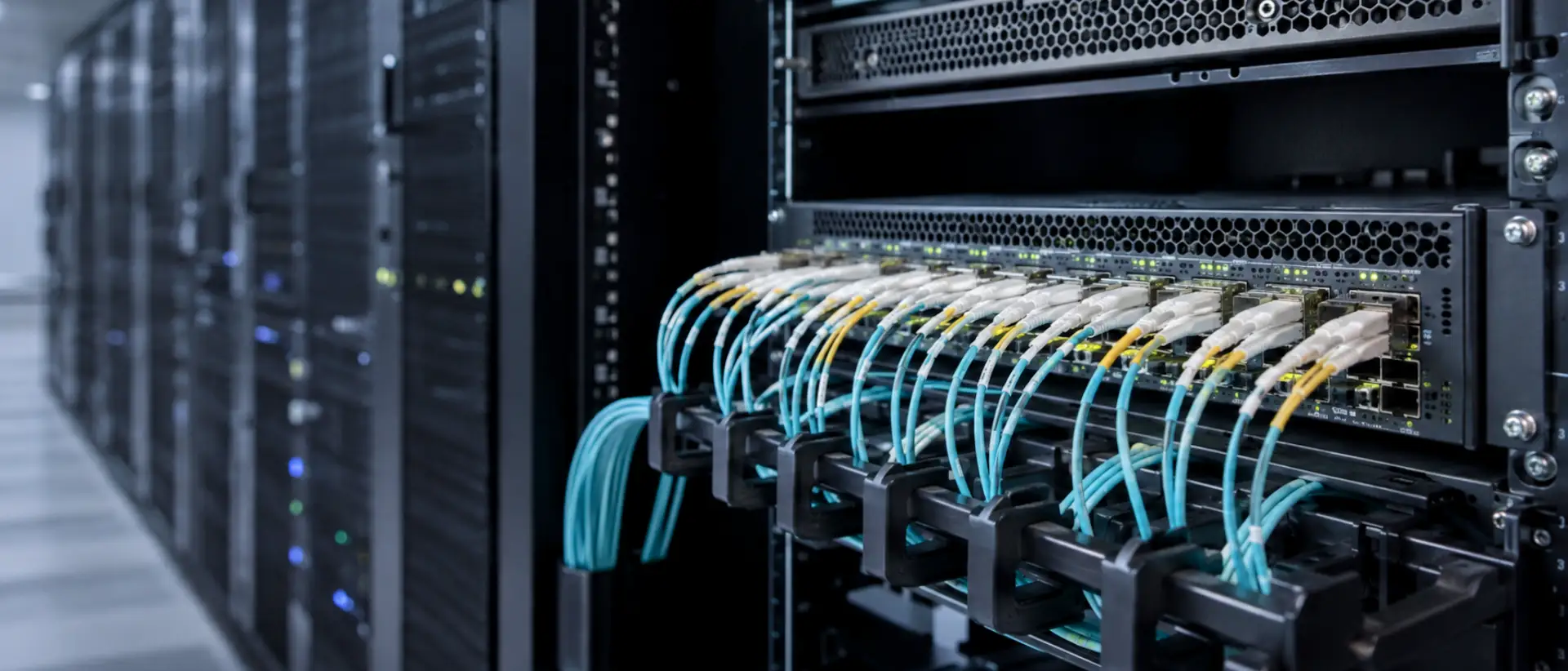 30 Gbps Dedicated Servers - Choose data center location